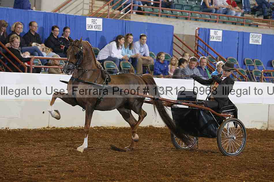 Proof 13r12_0968