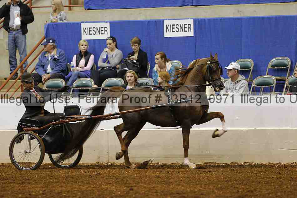Proof 13r12_0971