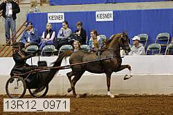 13r12_0971 proof