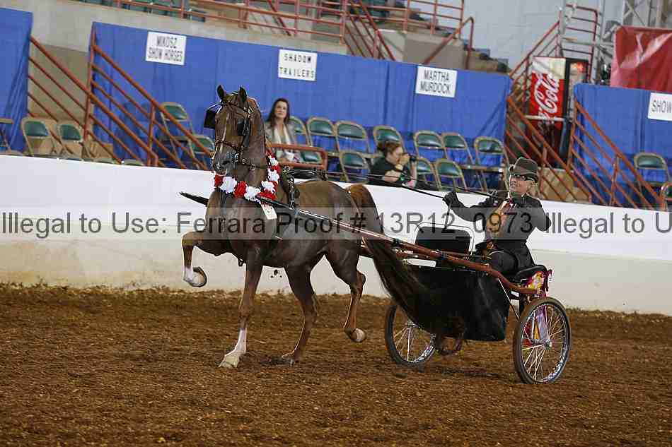 Proof 13r12_0973