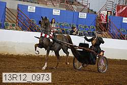 13r12_0973 proof