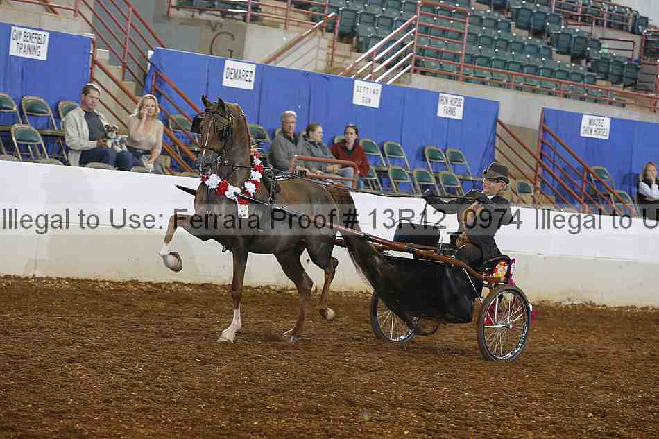 Proof 13r12_0974