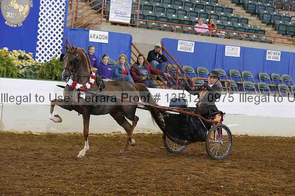 Proof 13r12_0975