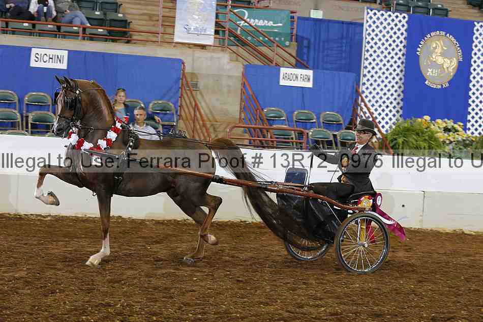 Proof 13r12_0976