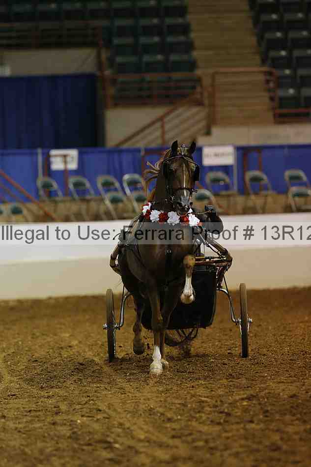 Proof 13r12_0978