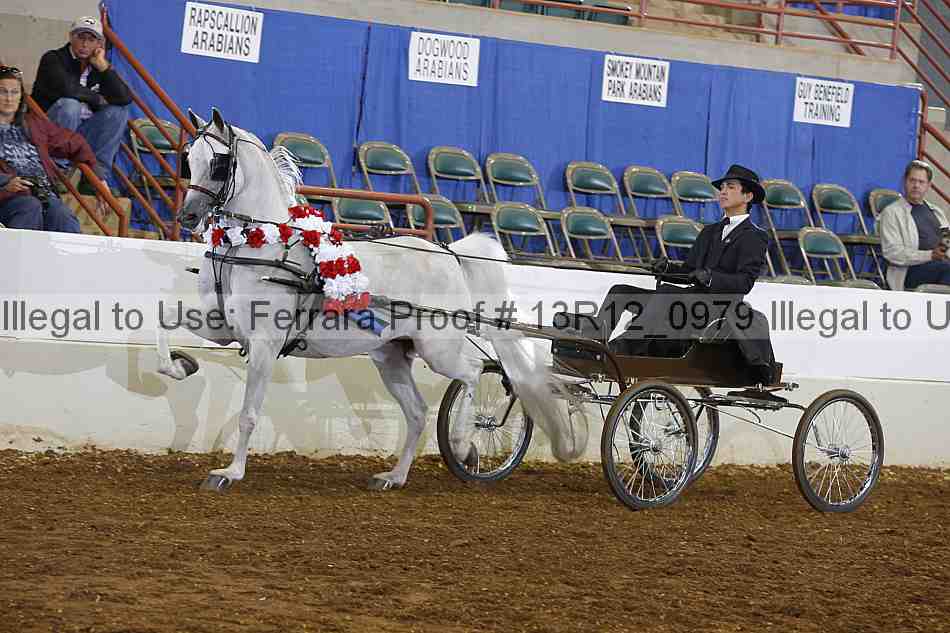 Proof 13r12_0979