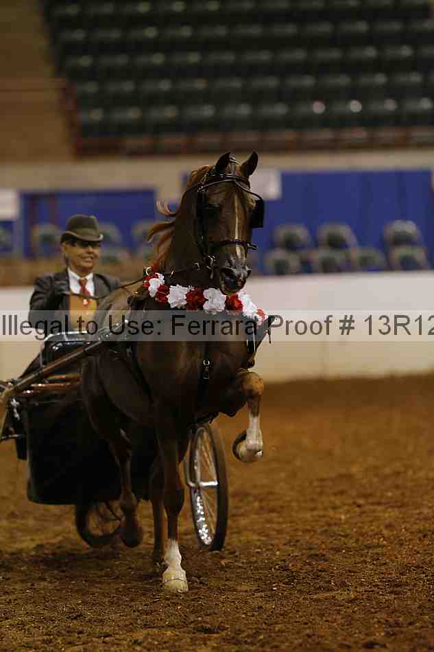 Proof 13r12_0980
