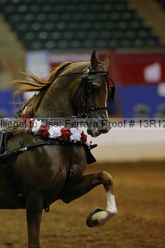 Proof 13r12_0981
