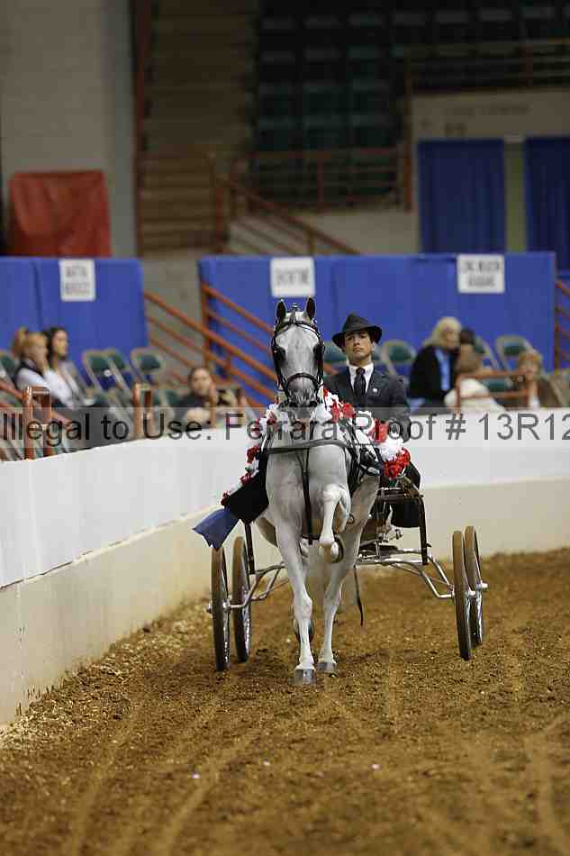 Proof 13r12_0982