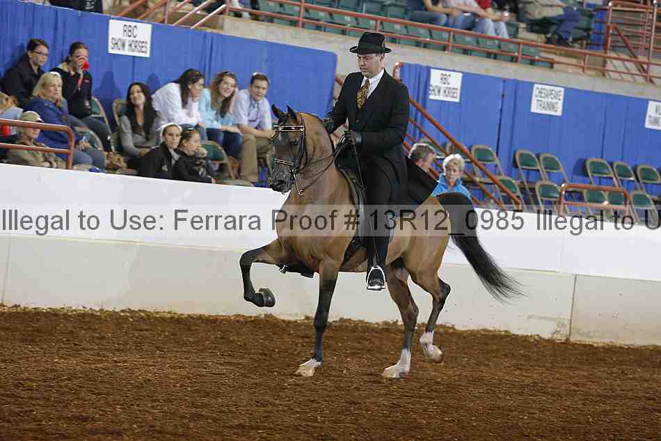 Proof 13r12_0985