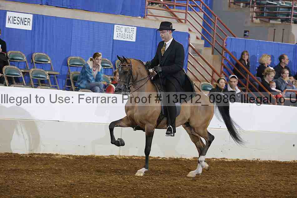 Proof 13r12_0986