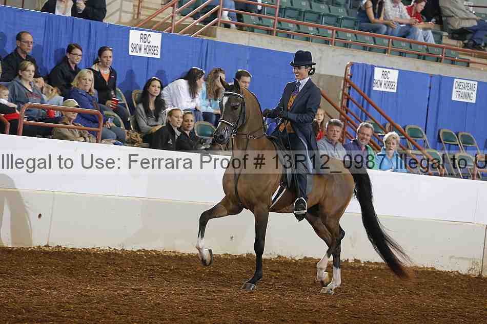 Proof 13r12_0987