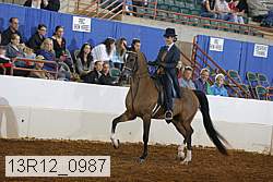 13r12_0987 proof