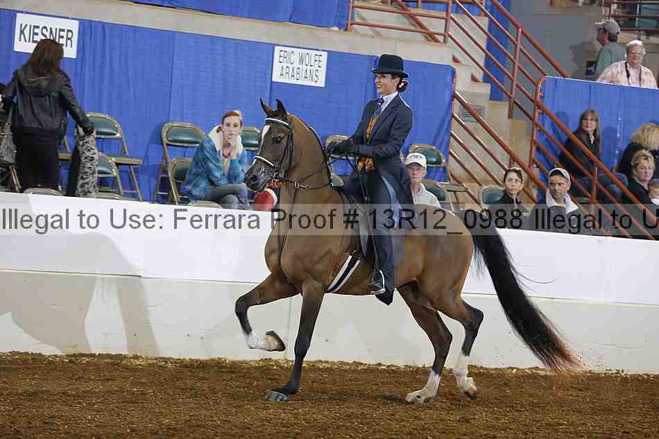 Proof 13r12_0988