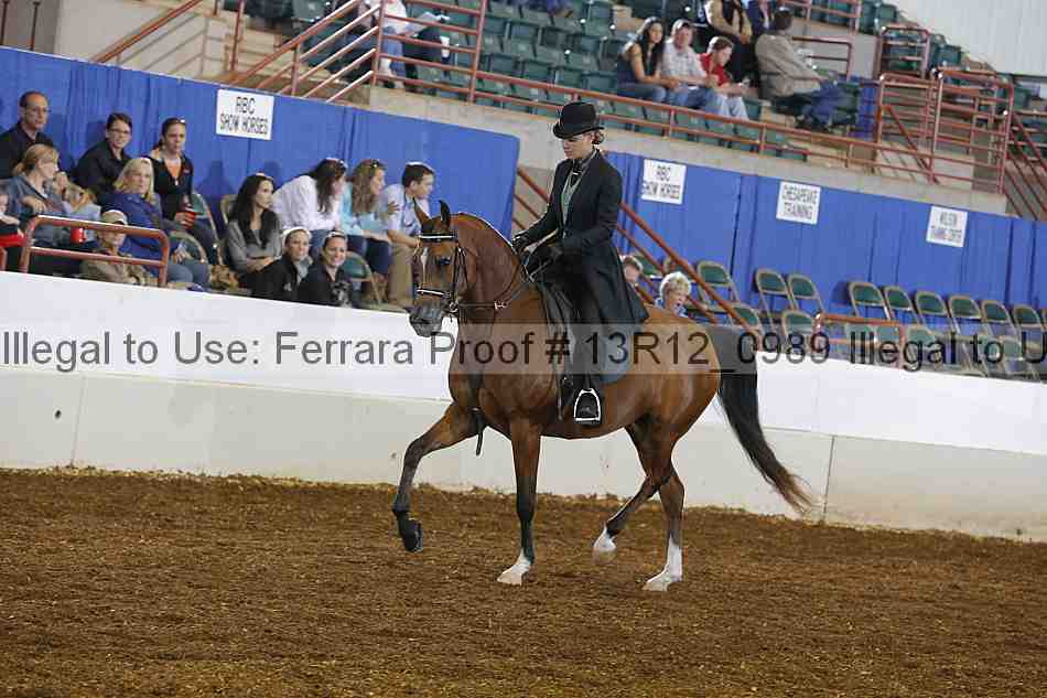 Proof 13r12_0989