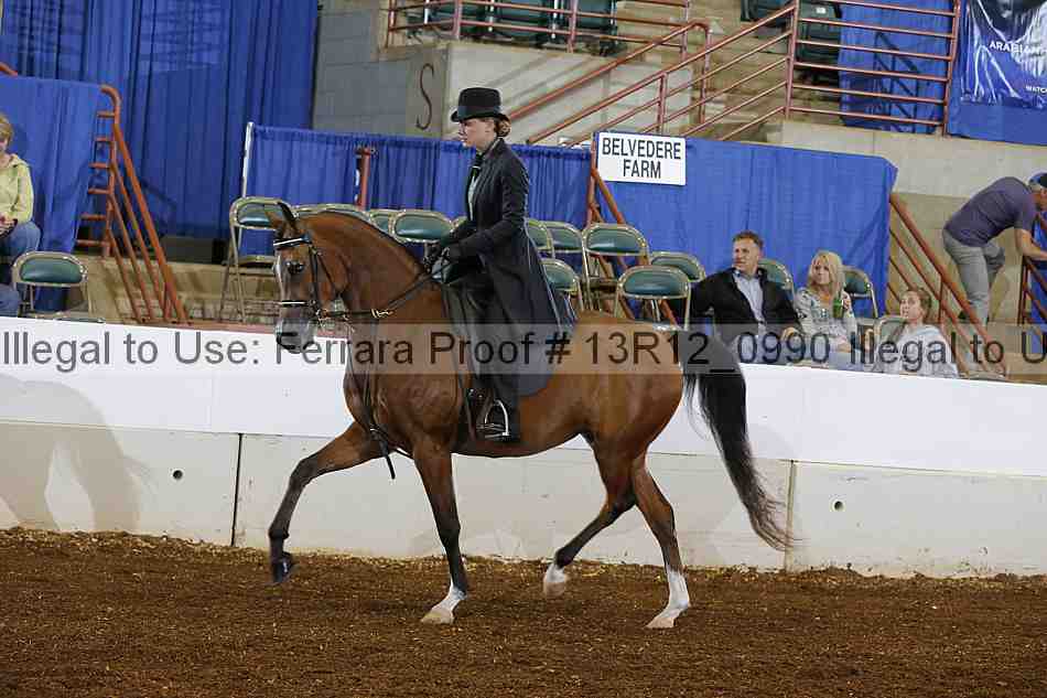 Proof 13r12_0990