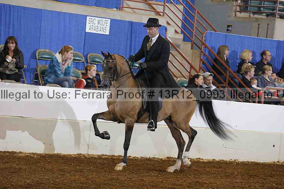 Proof 13r12_0993
