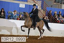 13r12_0993 proof