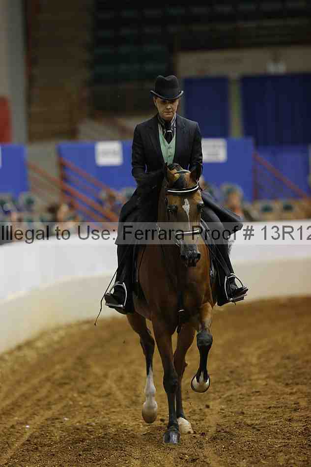 Proof 13r12_0994