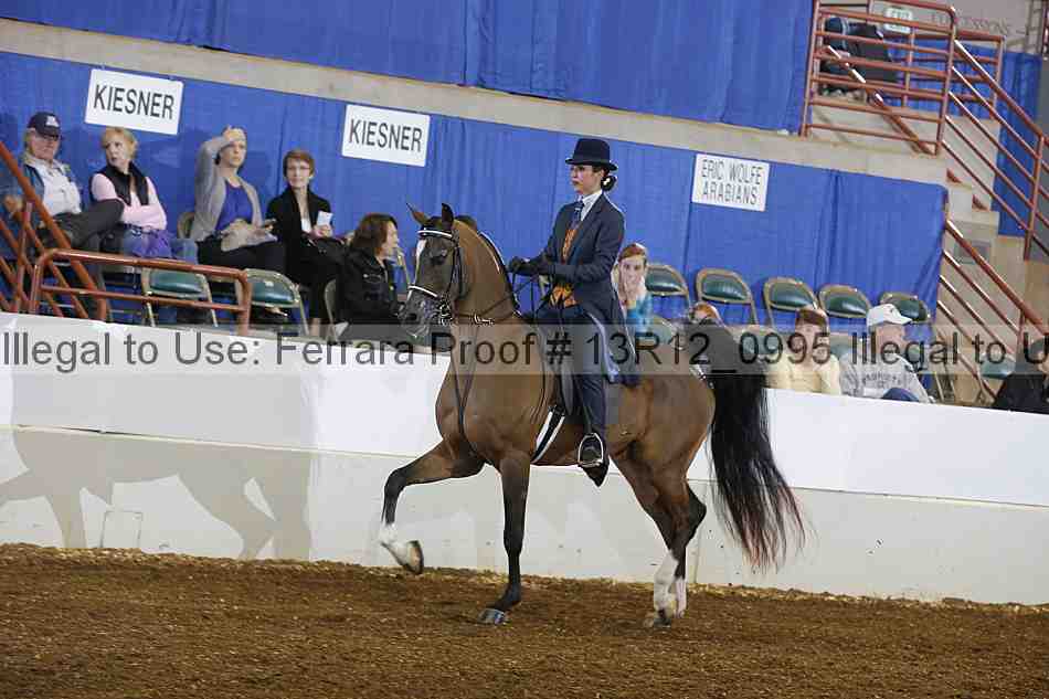 Proof 13r12_0995