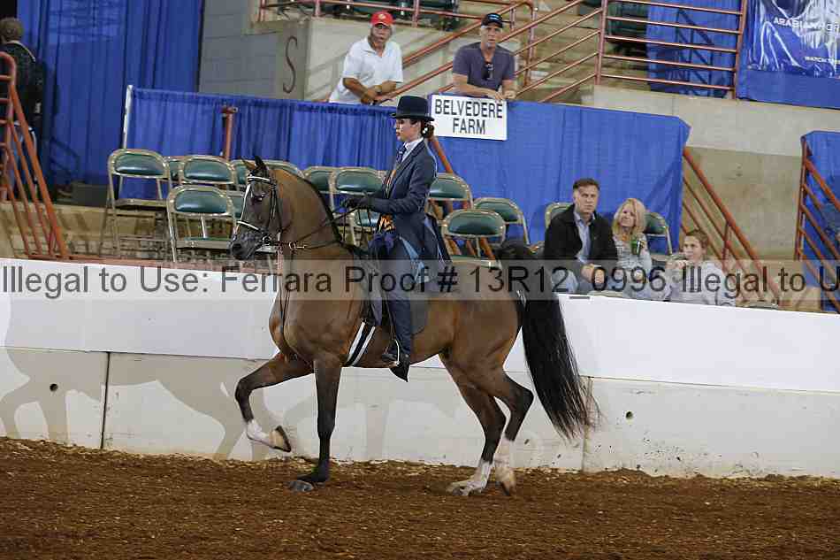 Proof 13r12_0996