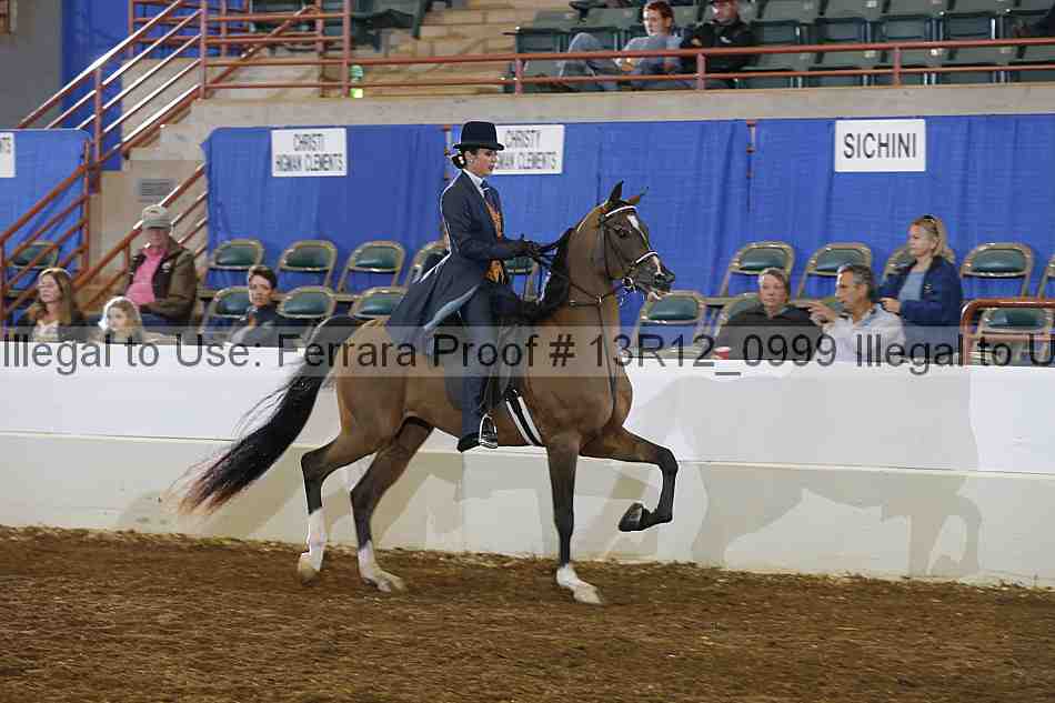 Proof 13r12_0999
