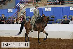 13r12_1001 proof