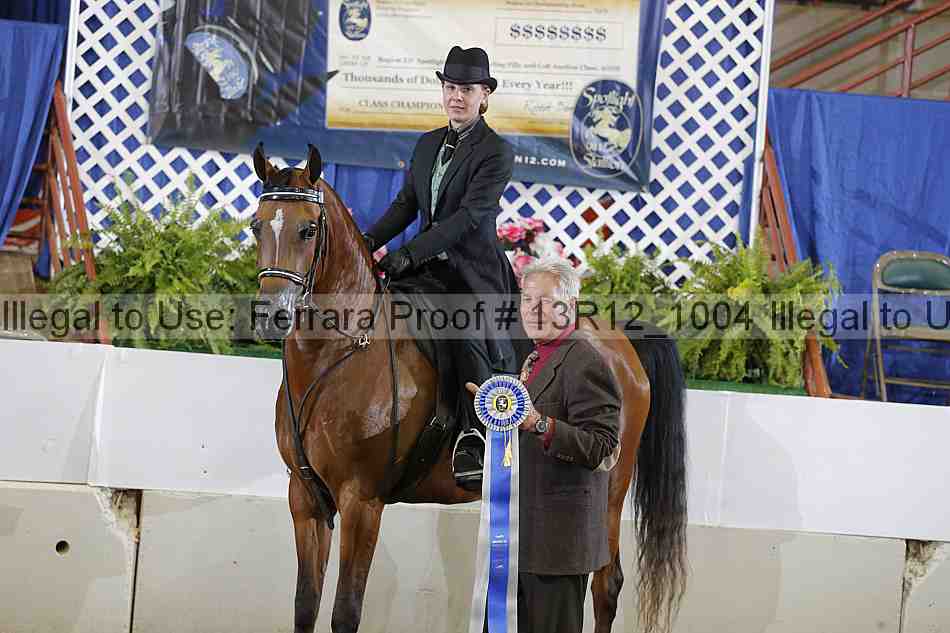 Proof 13r12_1004