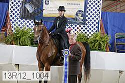 13r12_1004 proof