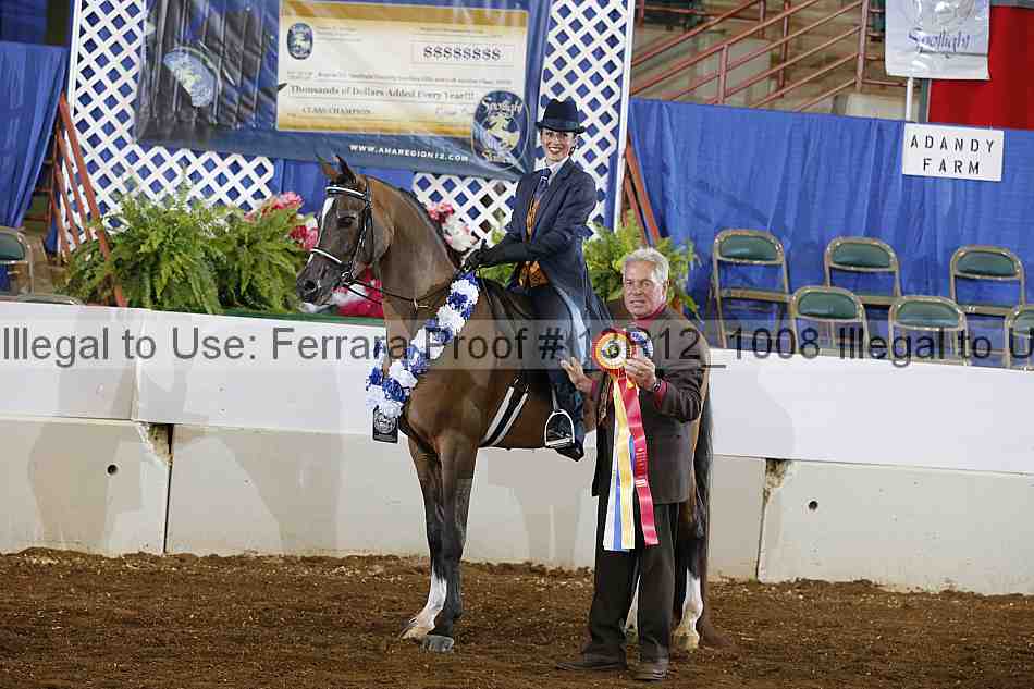 Proof 13r12_1008