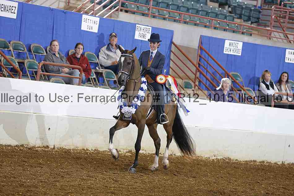 Proof 13r12_1015