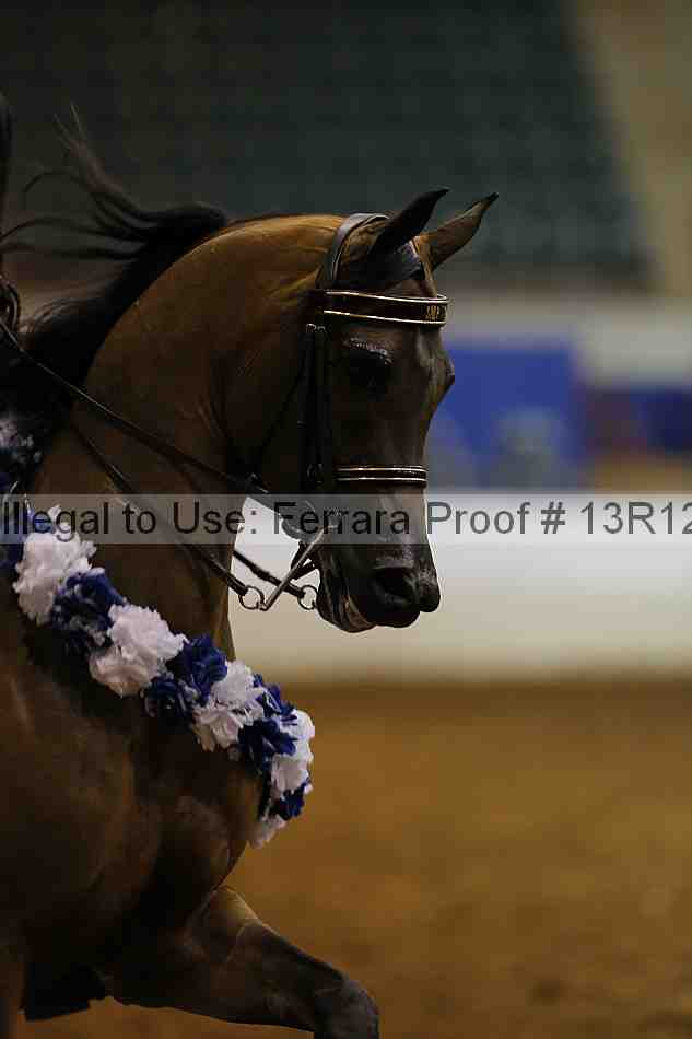 Proof 13r12_1020