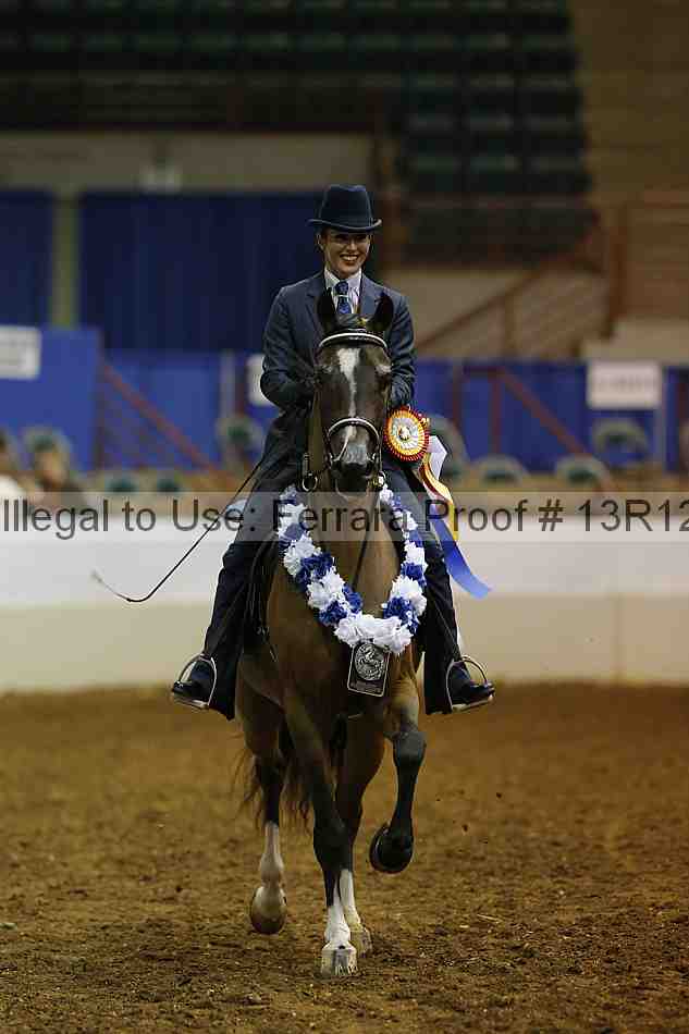 Proof 13r12_1023