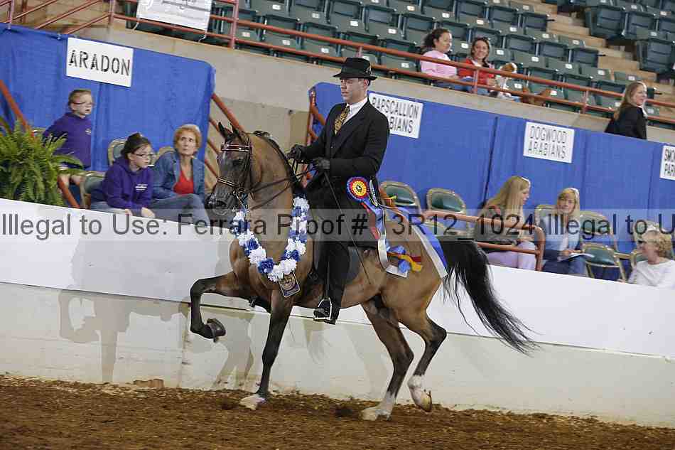Proof 13r12_1024