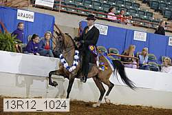13r12_1024 proof