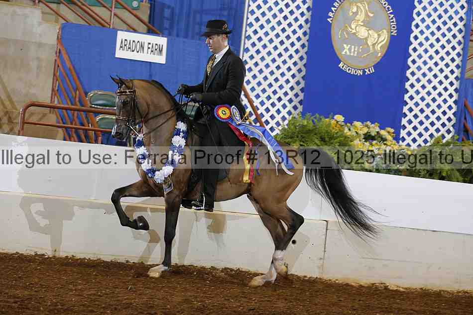 Proof 13r12_1025