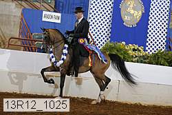 13r12_1025 proof