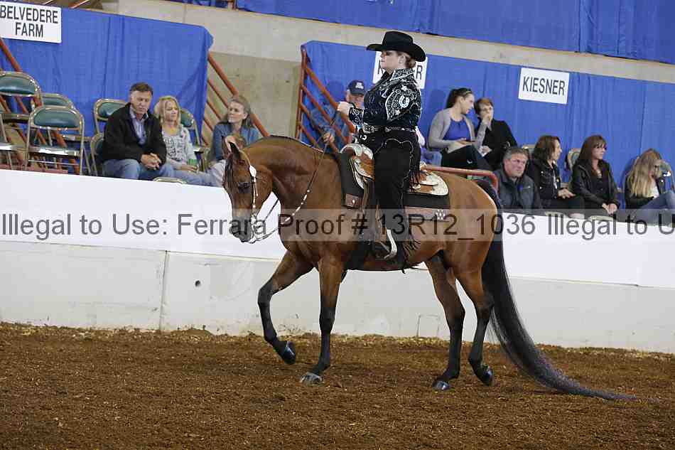 Proof 13r12_1036