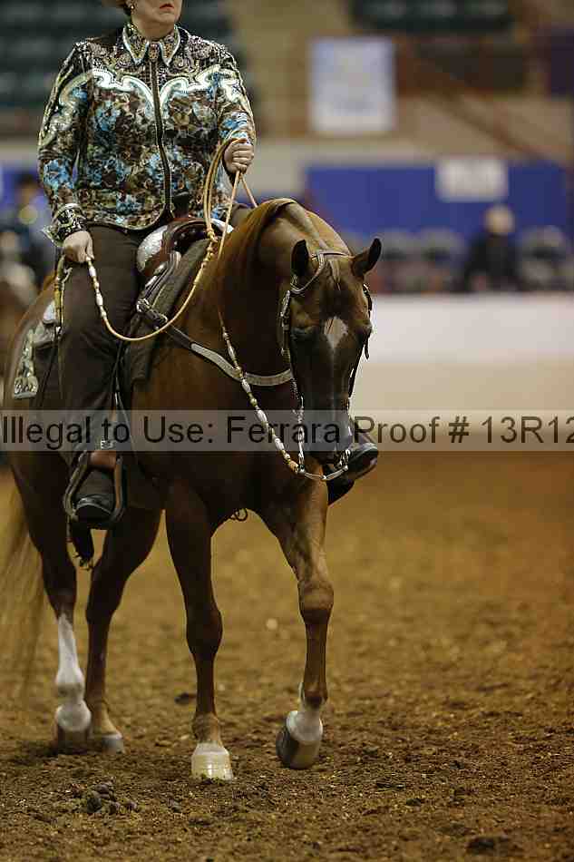Proof 13r12_1045