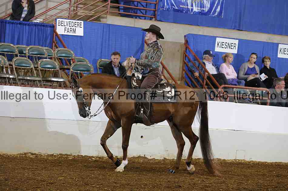 Proof 13r12_1046