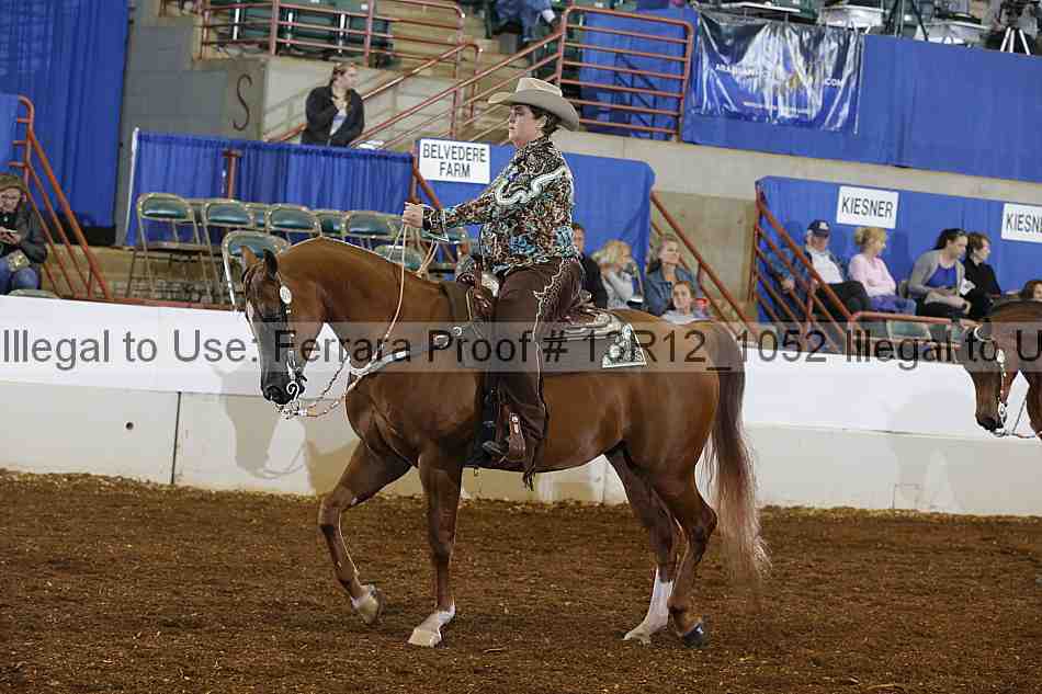 Proof 13r12_1052