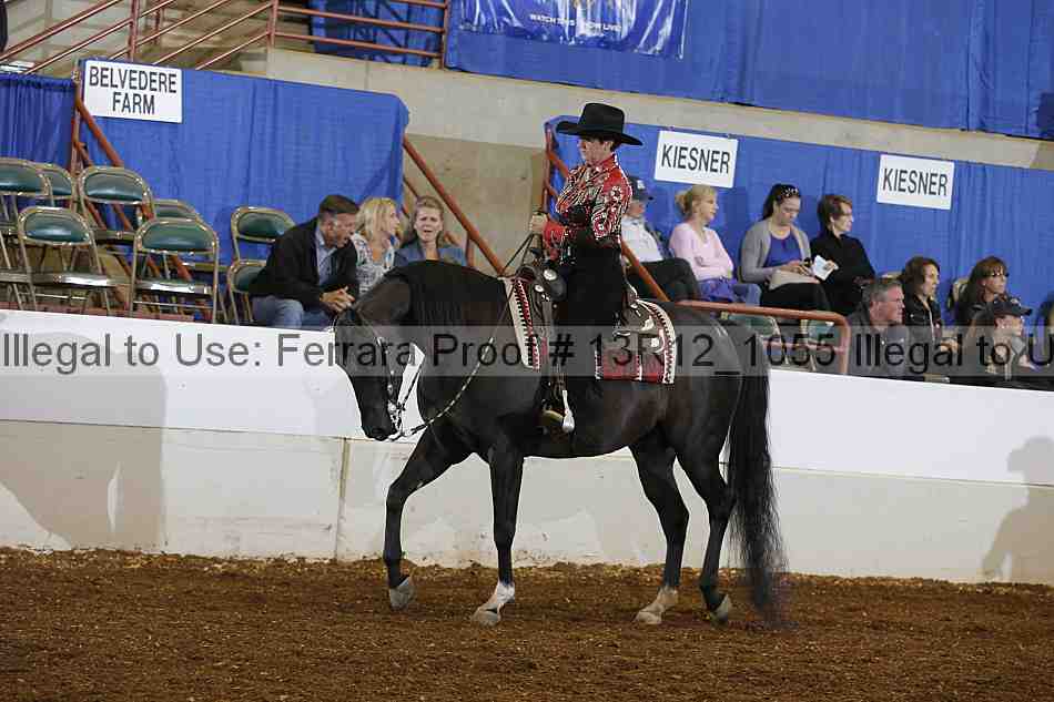 Proof 13r12_1055
