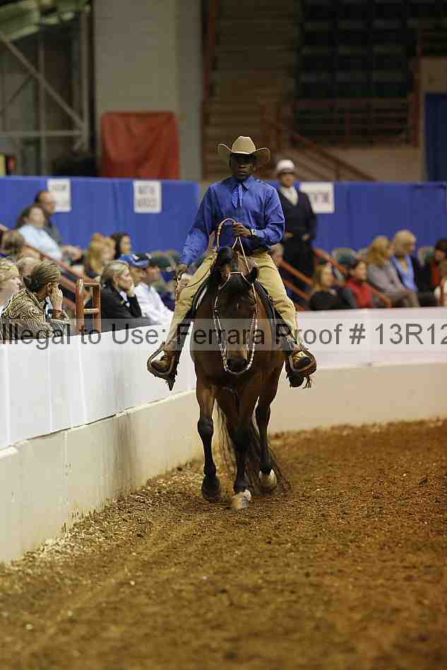 Proof 13r12_1063