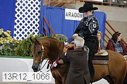 13r12_1066 proof