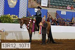 13r12_1071 proof