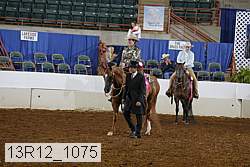 13r12_1075 proof