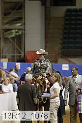 13r12_1078 proof