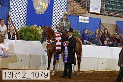 13r12_1079 proof