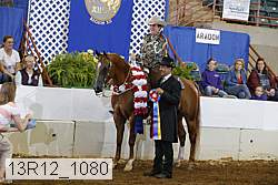 13r12_1080 proof