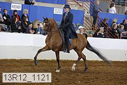 13r12_1121 proof